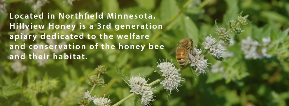 hillview honey, northfield mn